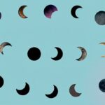 800+Ultimate Collection of Futanari Captions for Every Moon
