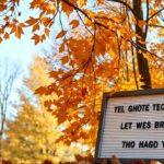 1000+ Autumn Fall Quotes to Warm Your Heart and Soul