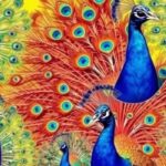 1000+ Peacock Captions For Instagram That Shine Bright and Stand Out